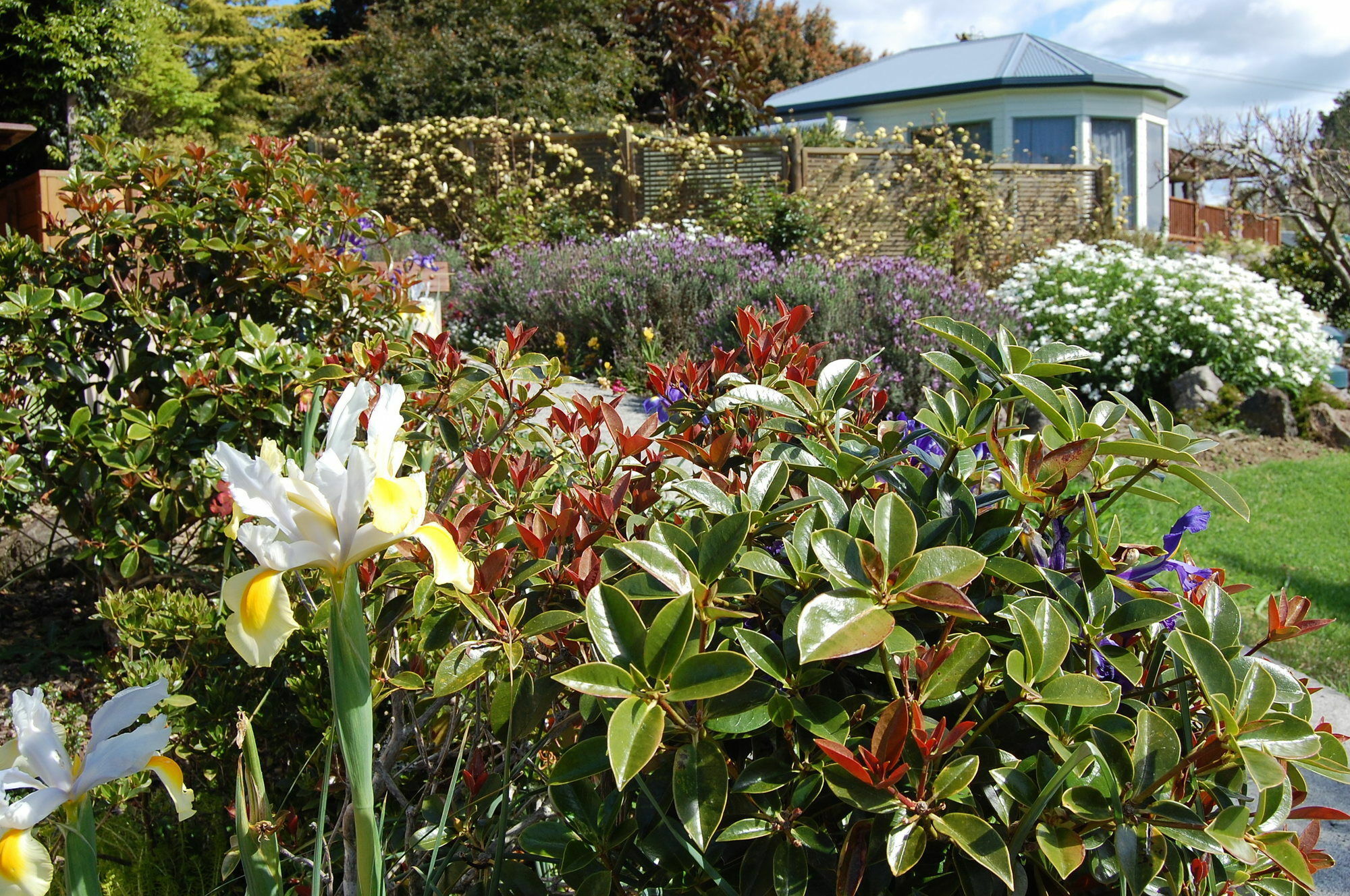 Te Awa Lodge Paihia Kültér fotó